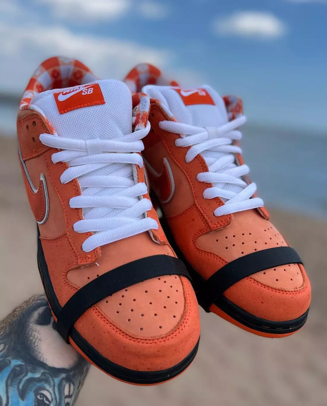 Концепції Nike SB Dunk Low Orange Lobster FD8776-800 In-Hand