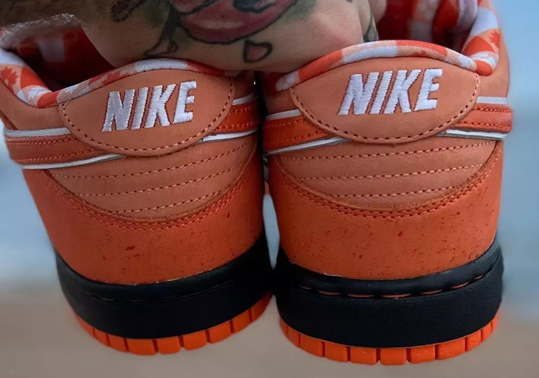 Concepts Nike SB Dunk Low Orange Lobster FD8776-800 In Hand