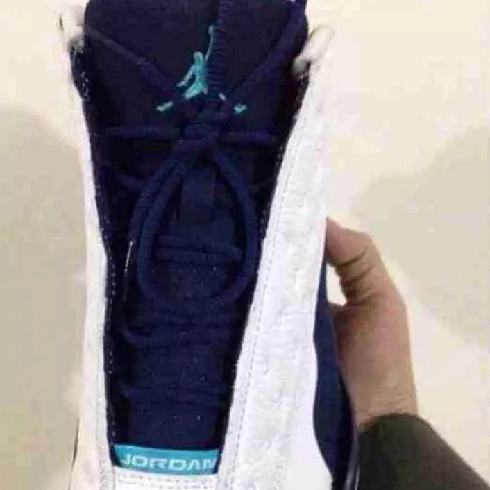 Air Jordan 13 Niddereg Hornets