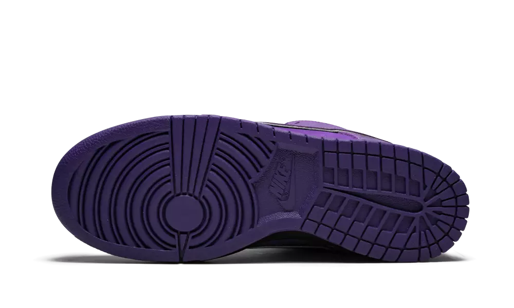 Concepts x Nike SB Dunk Low Purple Lobster