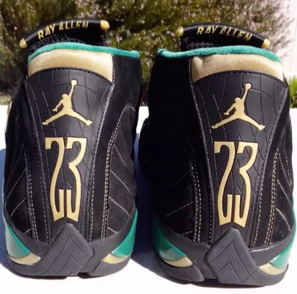 Rey Allen Air Jordan 14 2561 PE