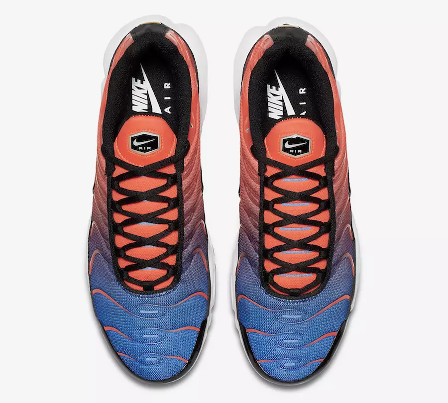 Nike Air Max Plus градиент 852630-800