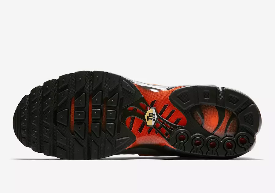 Nike Air Max Plus Մոխրագույն Նարնջագույն AJ2013-003