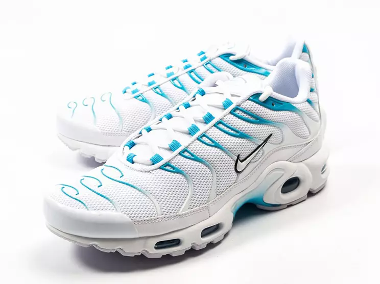 Nike Air Max Plus အပြာရောင် Fury 852630-105