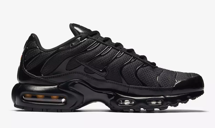 Nike Air Max Plus Üçlü Siyah 604133-050