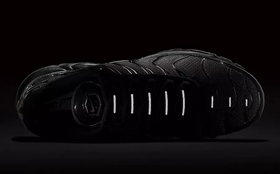 Nike Air Max Plus Triple Black 604133-050