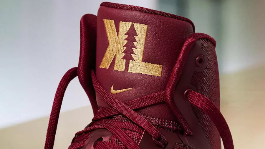 Nike Hyperdunk 2016 NBA finaal PE Kevin Love