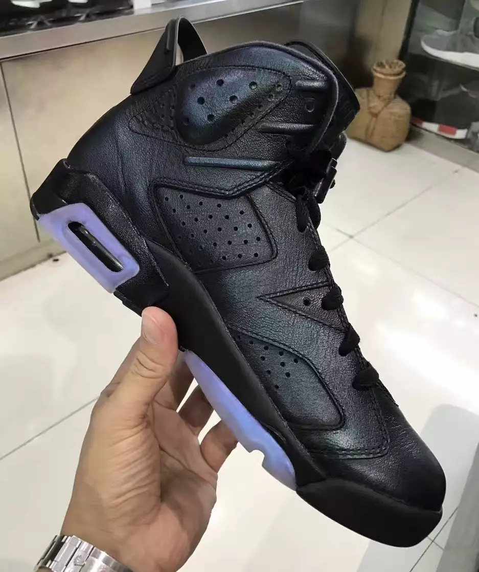 Jordan 6 Chameleon