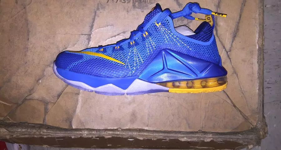 Nike LeBron 12 Low Entourage