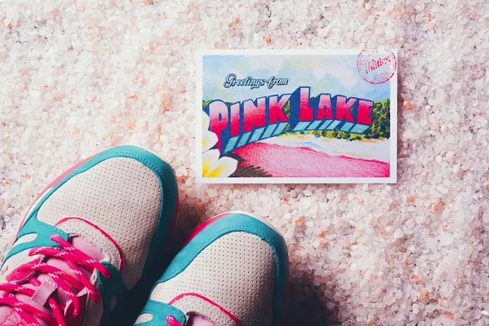 Sneaker Politics Reebok Ventilator Pink Lake