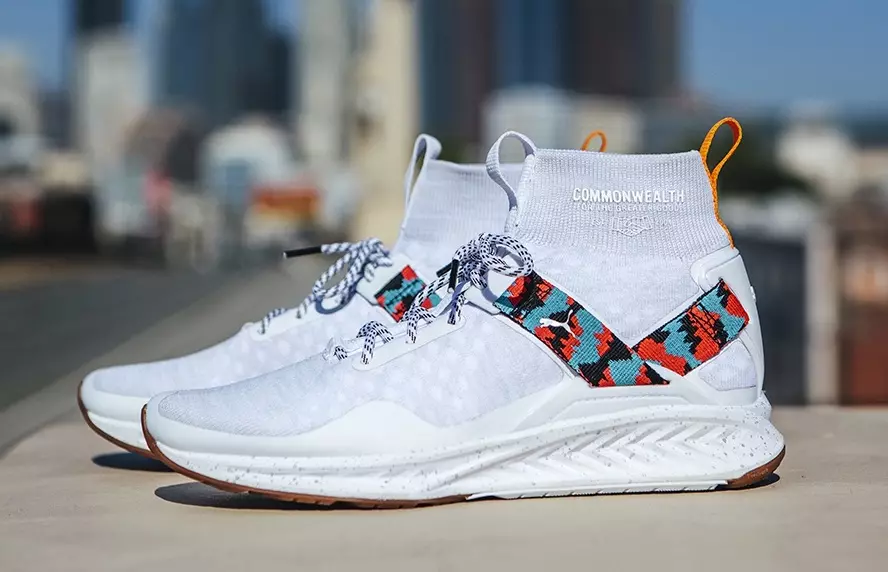 Commonwealth x PUMA Ignite evoKNIT izlaišanas datums