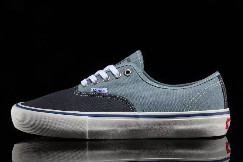 Vans Authentic Pro Elías Berle