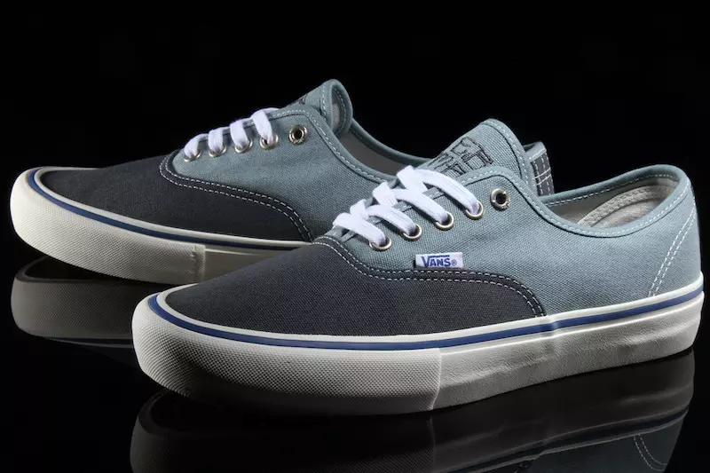 Vans Authentic Pro Elías Berle