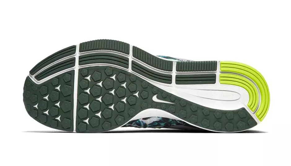 Balík tlače Nike Air Zoom Pegasus 33 Brazil Rainforest