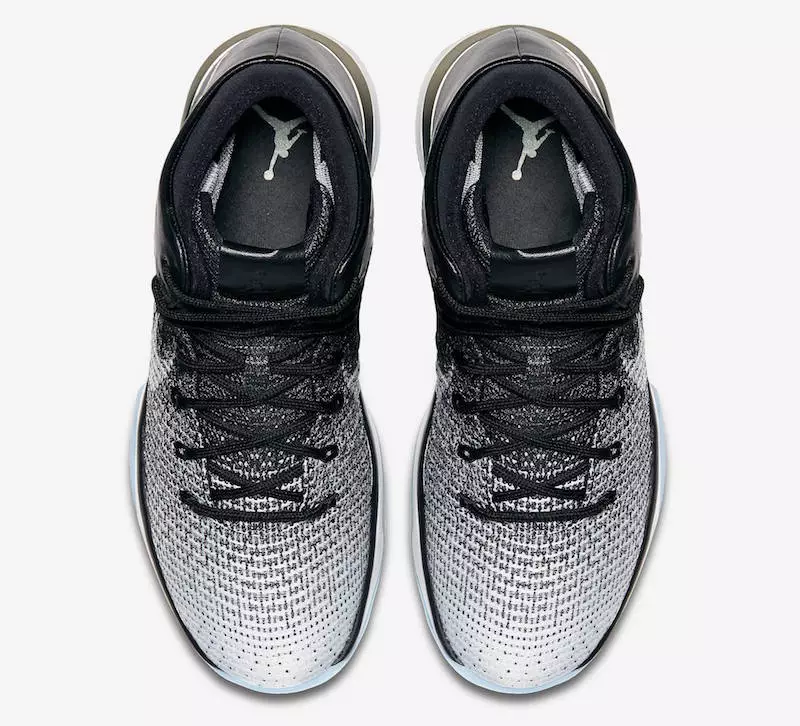 Fine Print Jordan XXX1