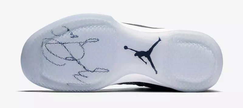 Kleingedrucktes Jordan XXX1