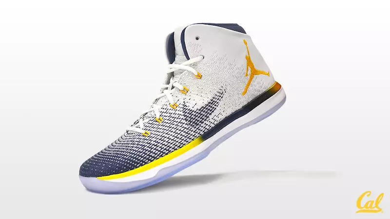 Air Jordan XXX1 Cal California Osos PE