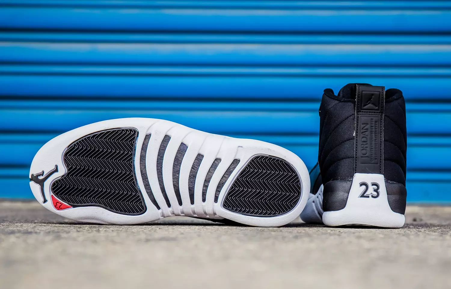 Nylon Jordan 12