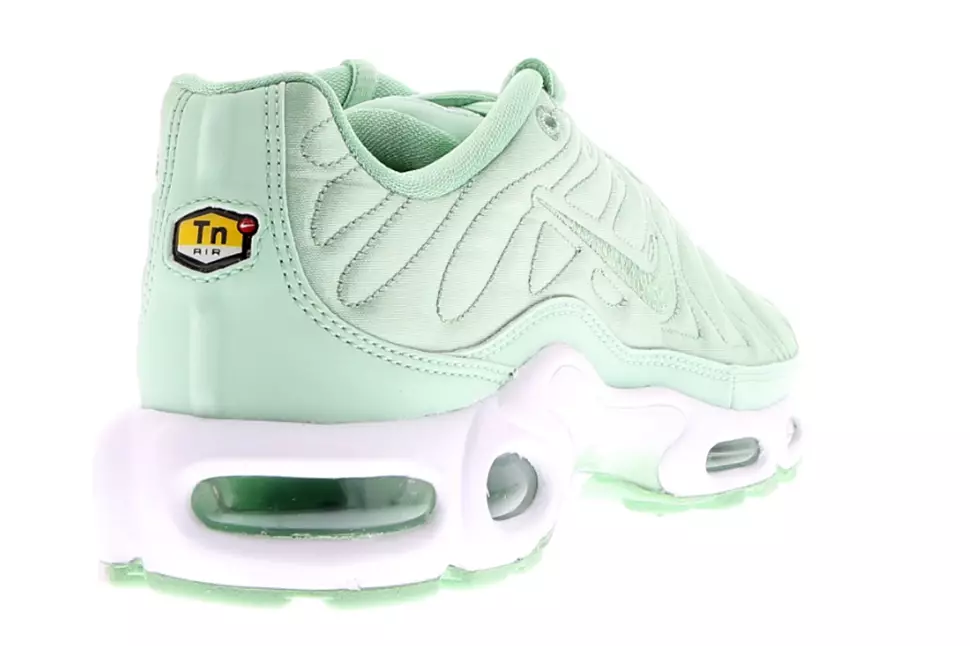 Nike Air Max Plus satīna iepakojums