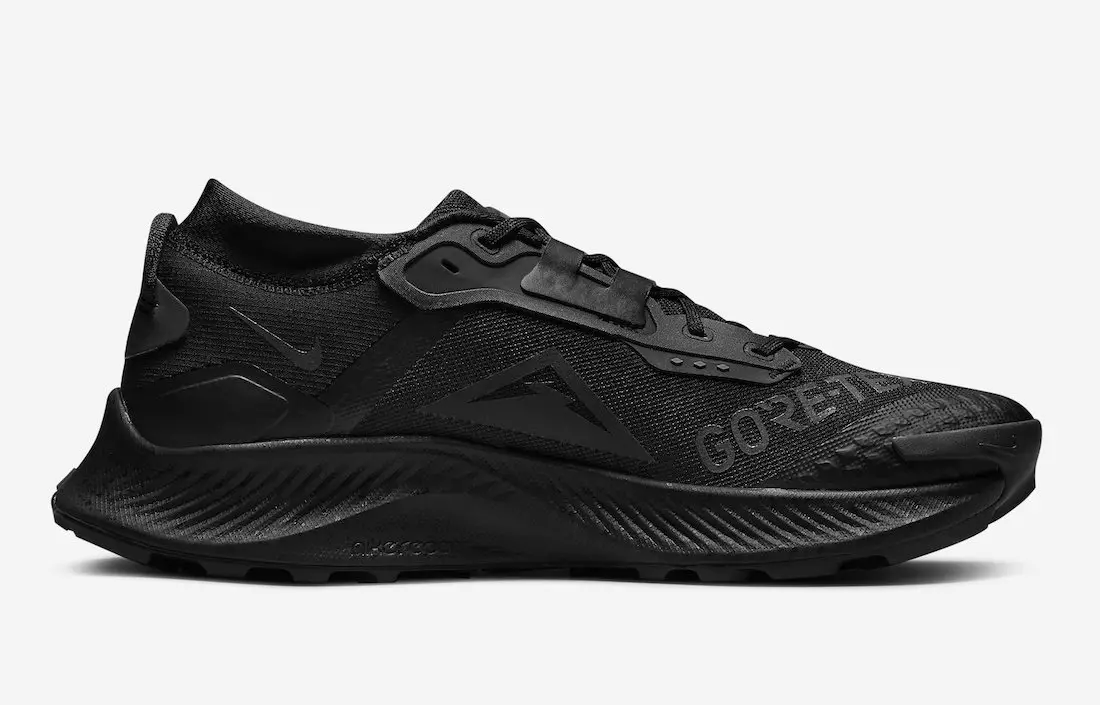 Nike Pegasus Trail 3 Gore-Tex Black DC8793-001 Дата на издаване