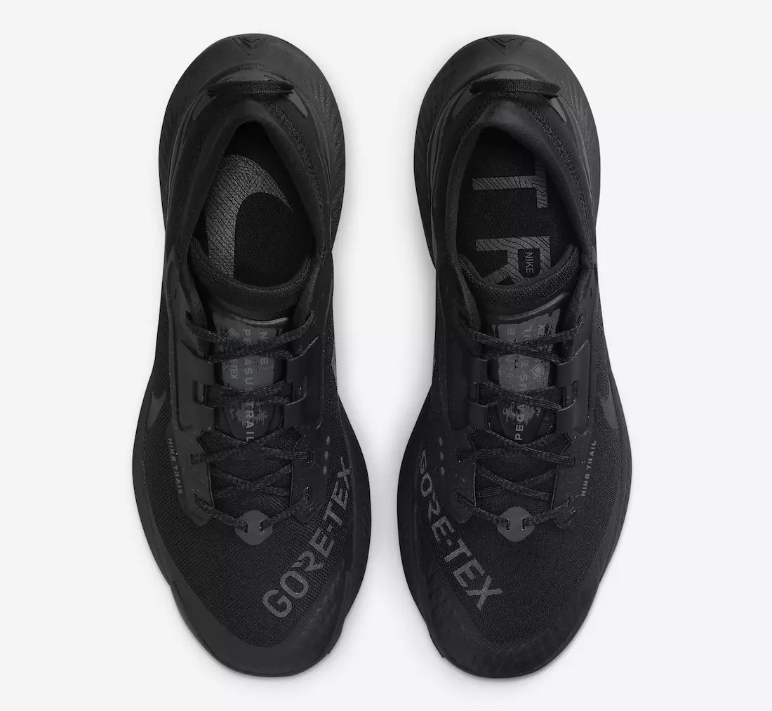 Nike Pegasus Trail 3 Gore-Tex Black DC8793-001 Data lansării