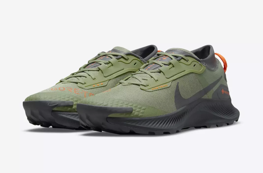 Nike Pegasus Trail 3 Gore-Tex DO6728-300 Tanggal Rilis