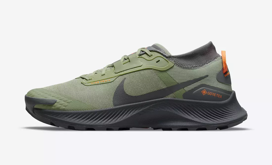 Nike Pegasus Trail 3 Gore-Tex DO6728-300 Data tal-Ħruġ