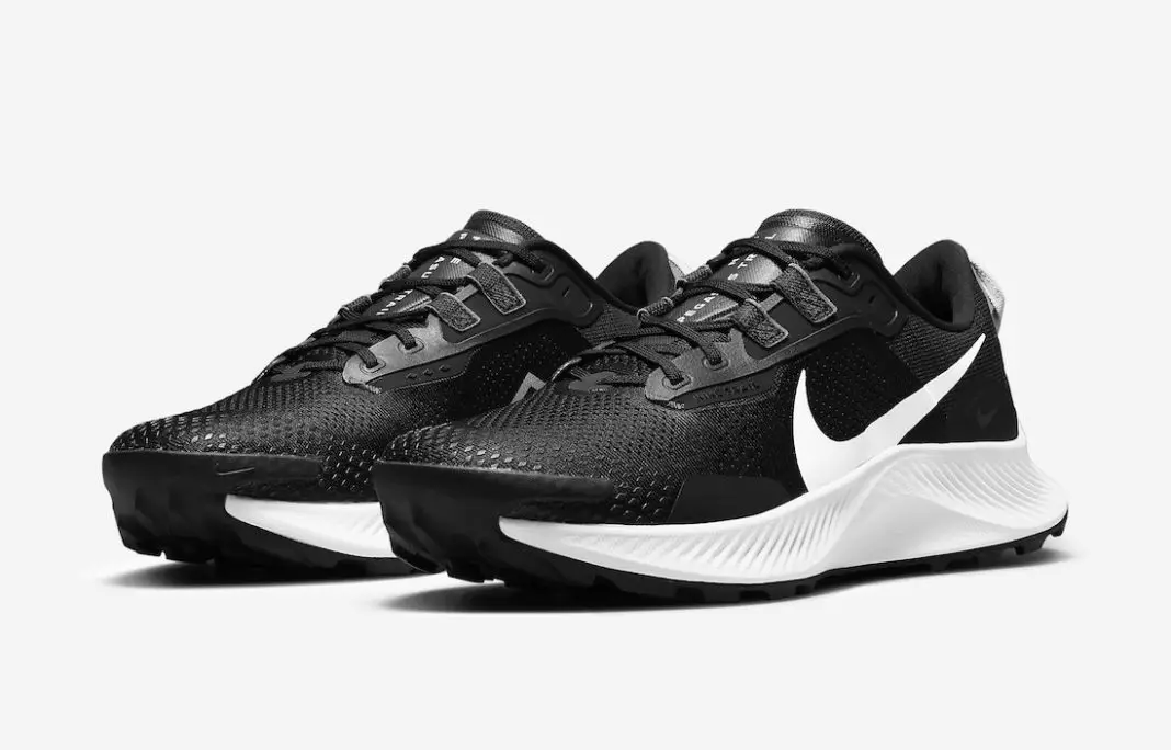 Nike Pegasus Trail 3 Qara Ağ DA8697-001 Buraxılış Tarixi