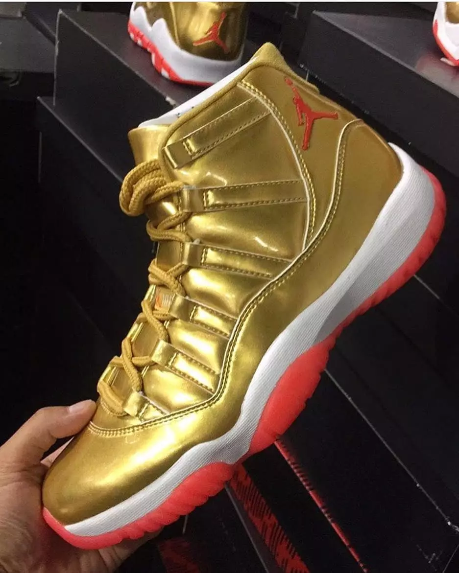 Brigetta Barrett Air Jordan 11 Gold Collection