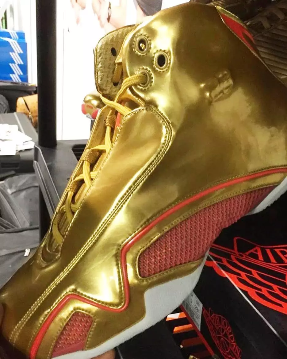 Brigetta Barrett Air Jordan 21 Gold Collection