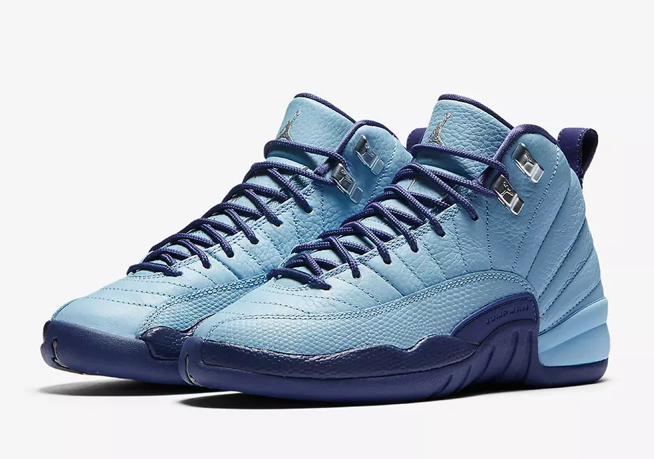 Air Jordan 12 GS Purple Dust Blue капкак