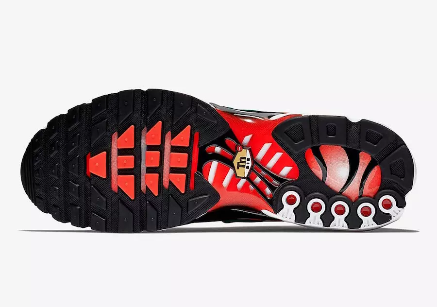 Nike Aeir Max Plus 852630-801