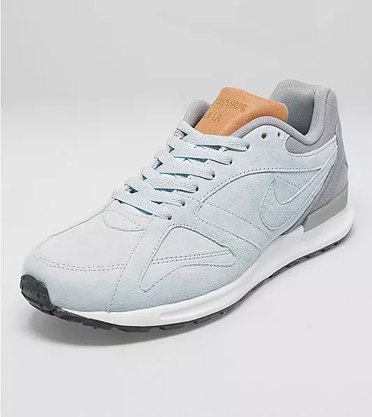 nike-air-pegasus-89-дээд зэрэглэлийн-хэмжээ онцгой-5