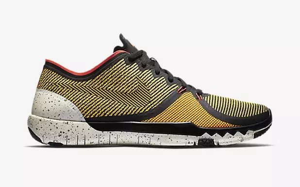 Nike Free Trainer 3.0 V4 "Cheetah"