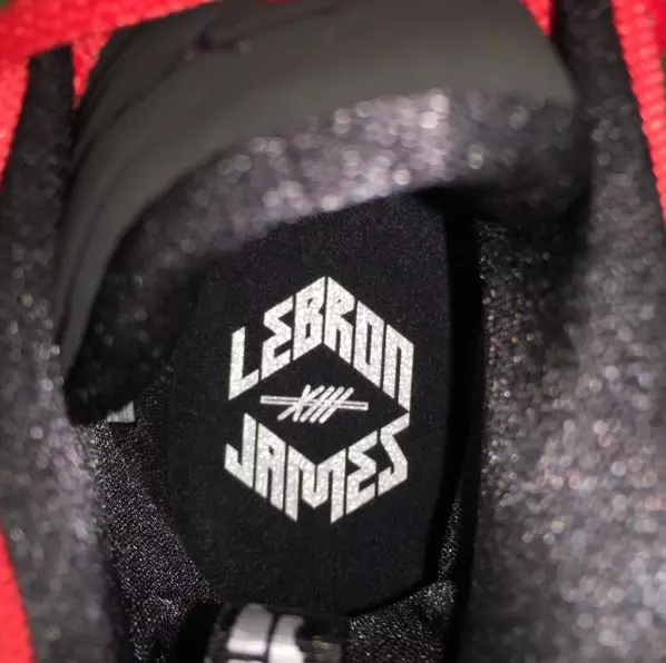 LeBron 13 iekšzole