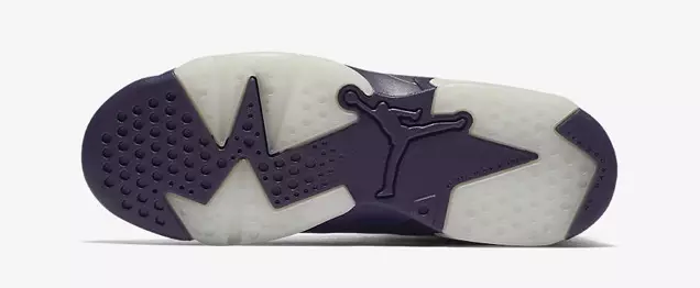 Viola Air Jordan 6