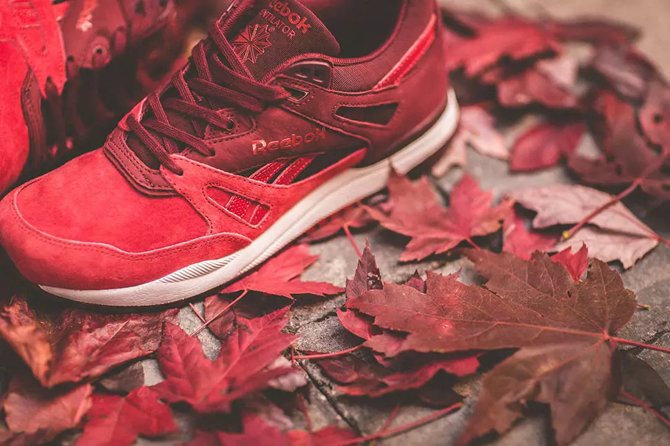 Husdyr Reebok Ventilator Maple Leaf