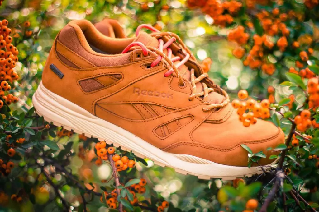 Reebok ვენტილატორი Gore-Tex "Malt Brown"