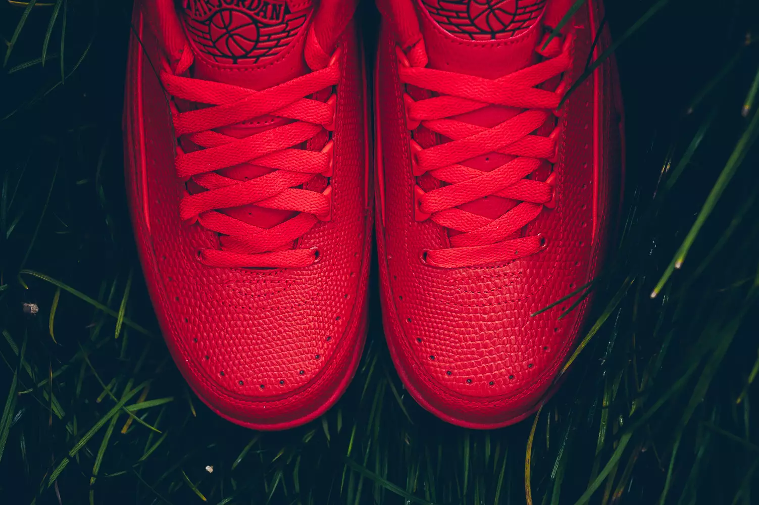 Jordan 2 Low Red