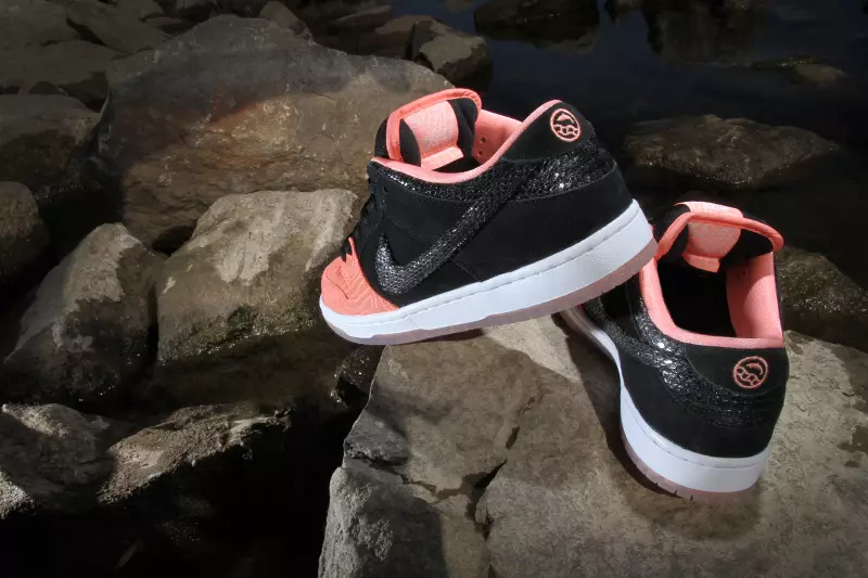 Pek Tangga Salmon Rendah Nike SB Dunk Premier Nike