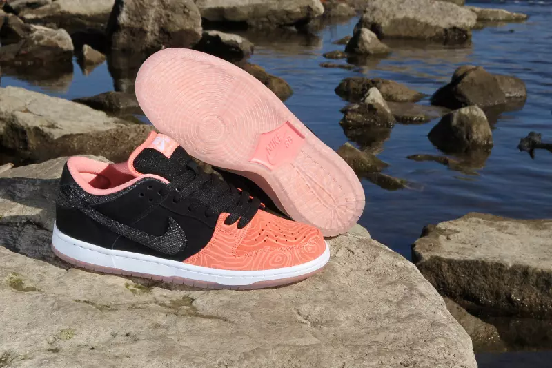 Premyer Nike SB Dunk Aşağı Salmon Nərdivan Paketi