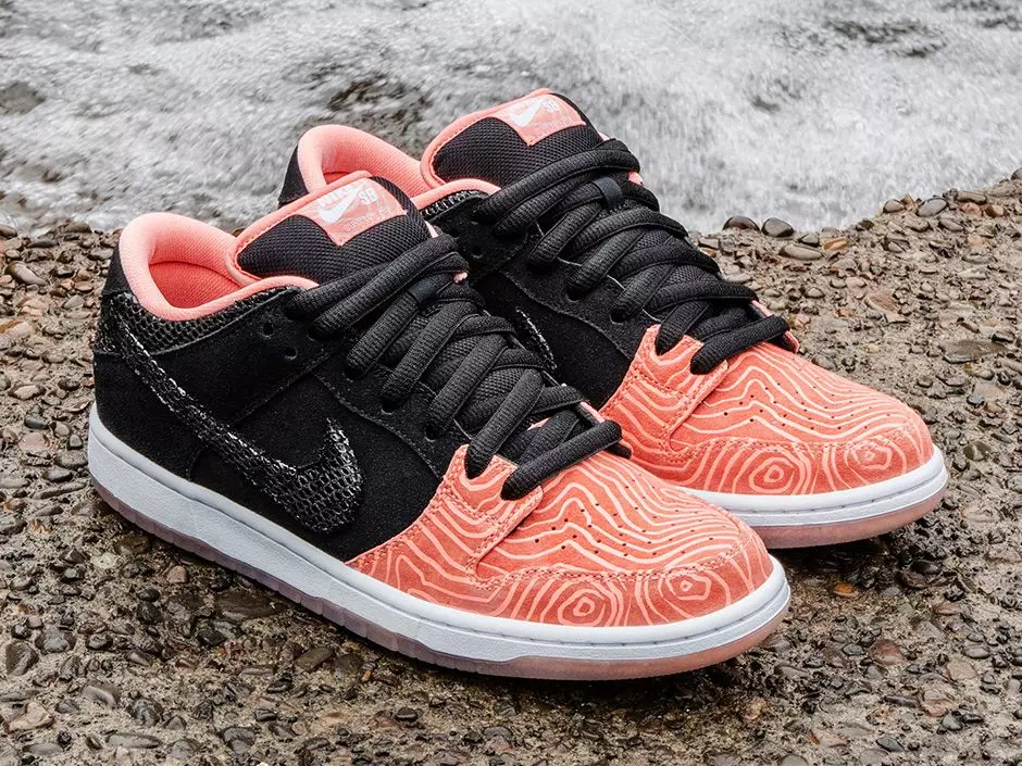 Nike SB Premier Baliq narvonlari to'plami