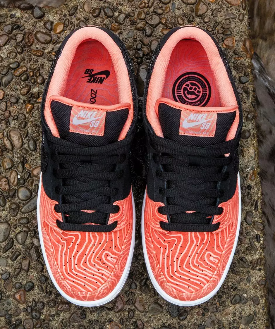 Koleksioni Nike SB Premier Fish Ladder