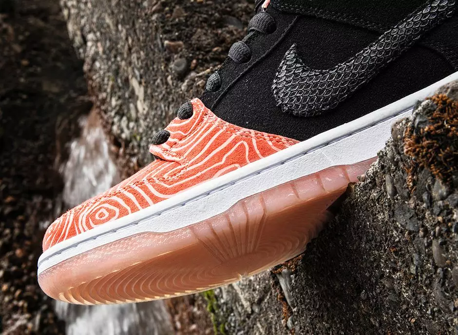 Nike SB Premier Fish Ladder Collection