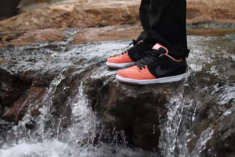 Pacote Premier Nike SB Salmon Ladder