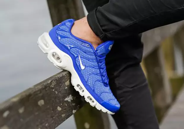 Siatka Nike Air Max Plus