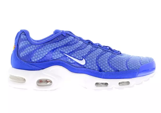 Nike Air Max Plus malla azul