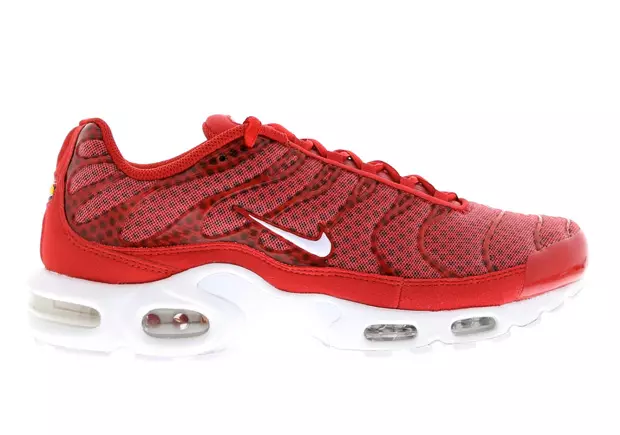 Nike Air Max Plus Mesh Red