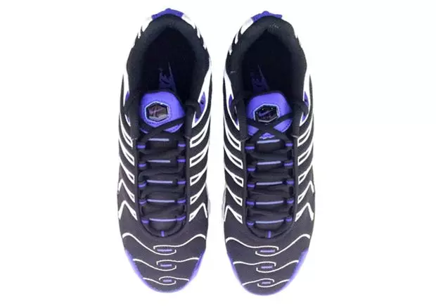 Nike Air Max Plus Fars Bənövşəyi