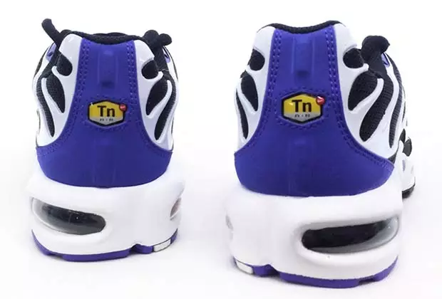 Nike Air Max Plus Fars Bənövşəyi